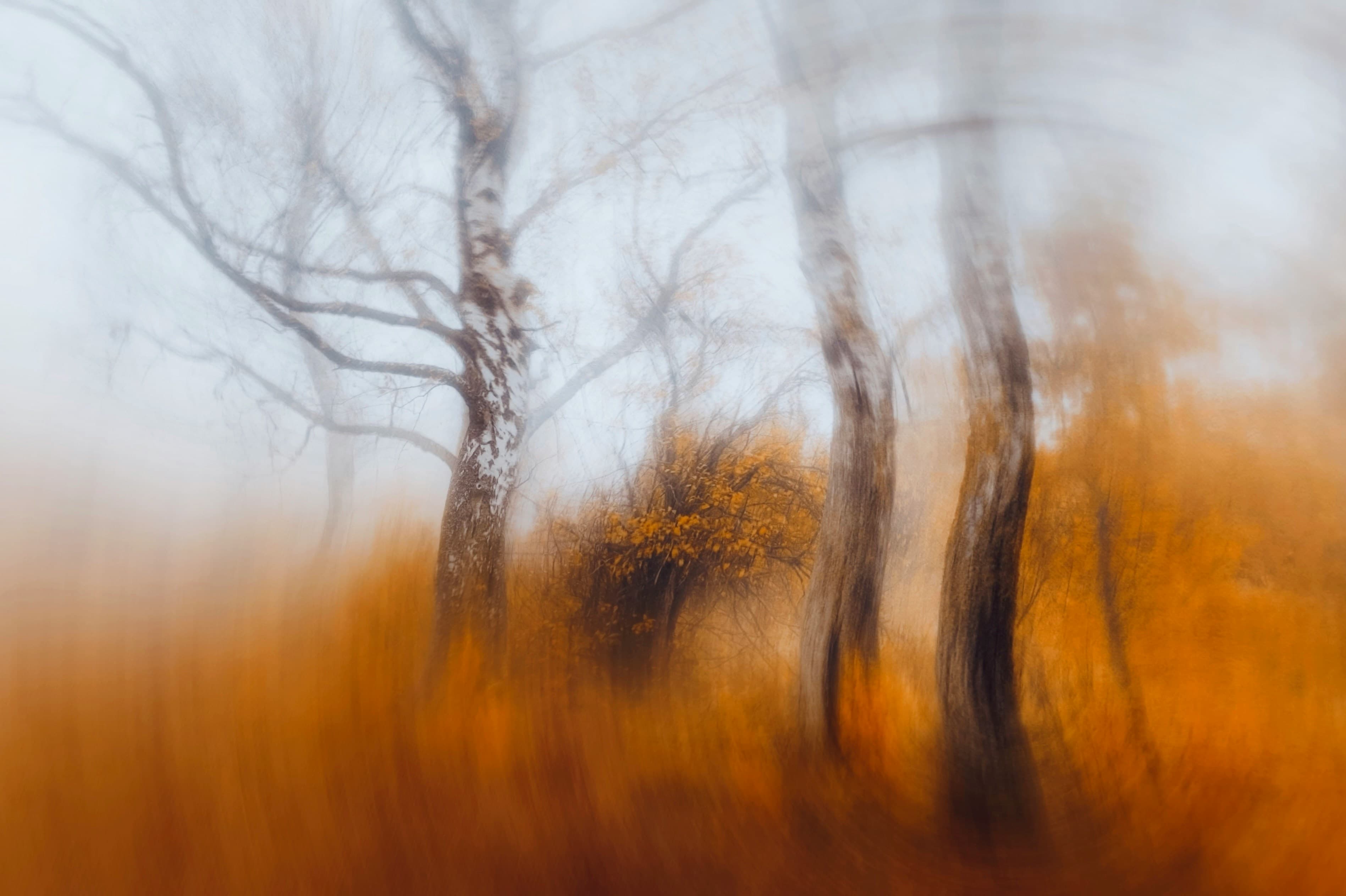 Next.js 14 新特性深度解析